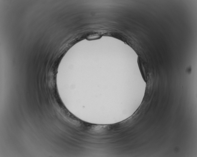 X0000116460136201001061046