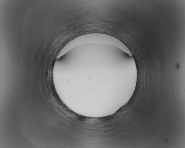 X0000116460137201001061046