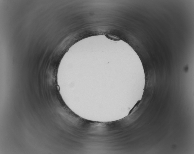 X0000116460140201001061046