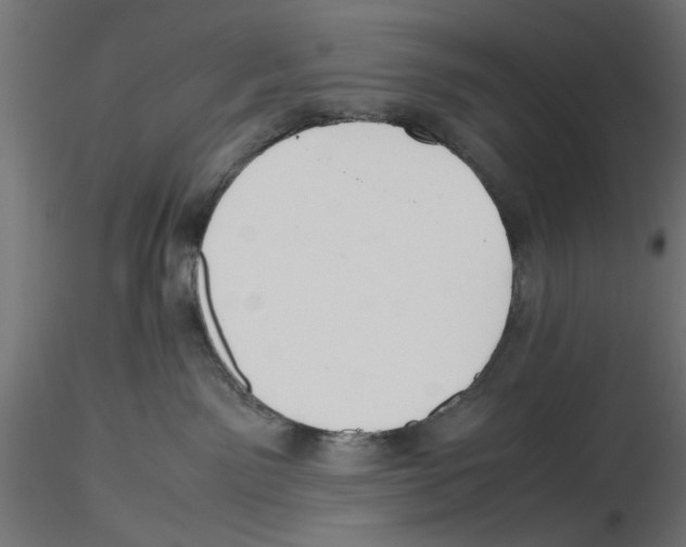 X0000116460141201001061046