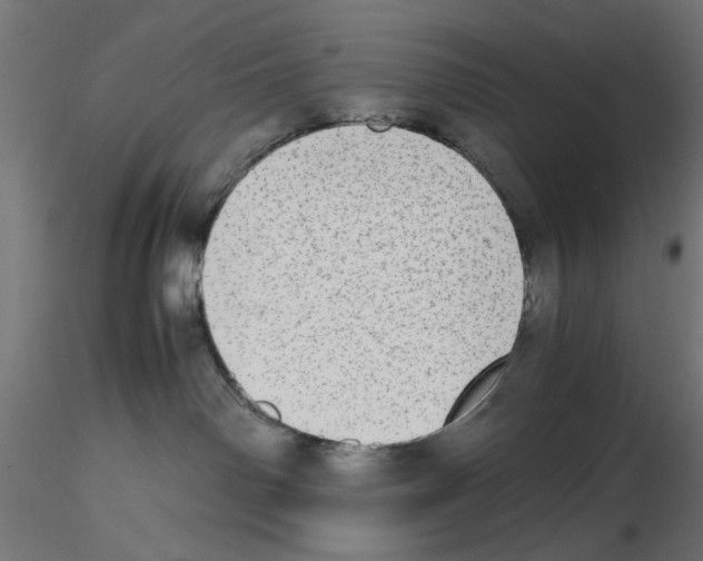 X0000116460142201001061046