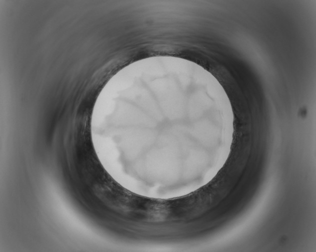 X0000116460143201001061046