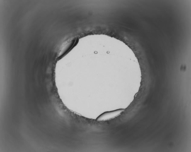 X0000116460144201001061046