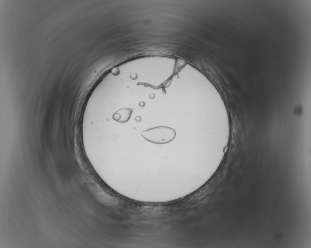 X0000116460145201001061045