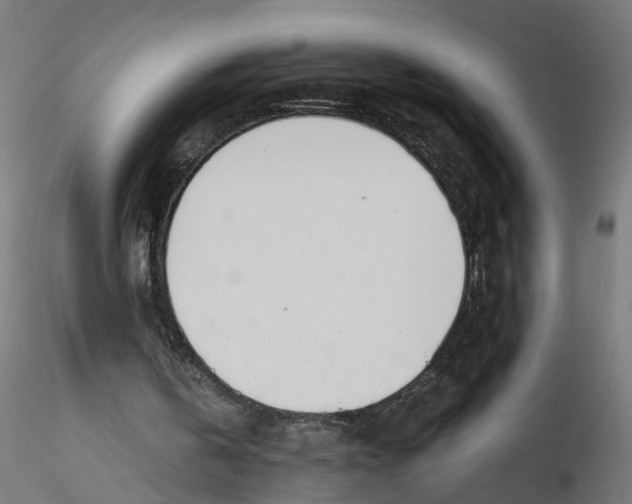 X0000116460146201001061045