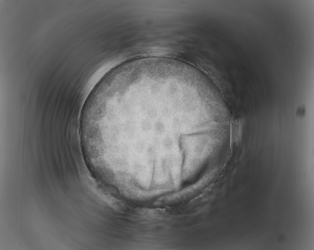 X0000116460147201001061045