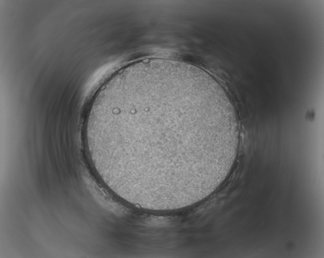 X0000116460149201001061045