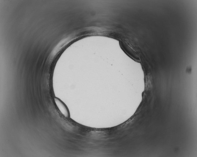 X0000116460150201001061045