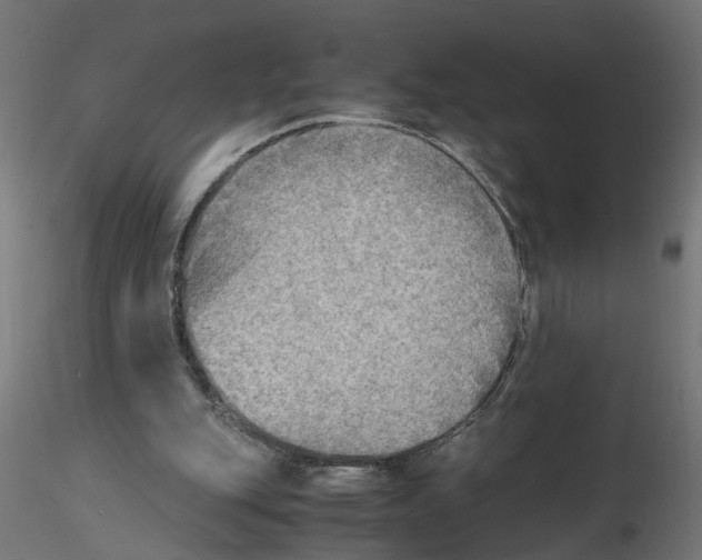 X0000116460151201001061045