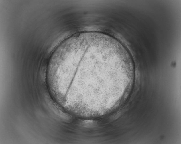X0000116460153201001061045