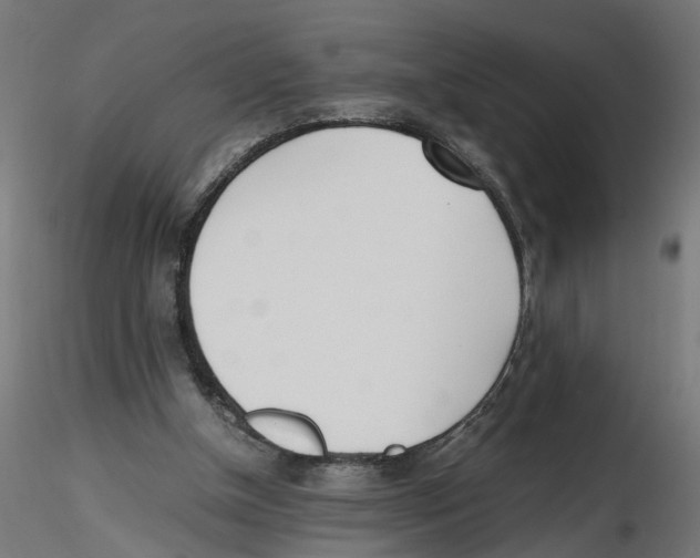 X0000116460154201001061045