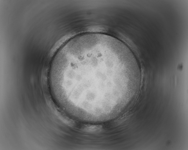X0000116460155201001061045