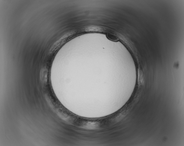 X0000116460157201001061045
