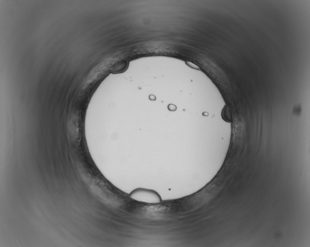 X0000116460158201001061045