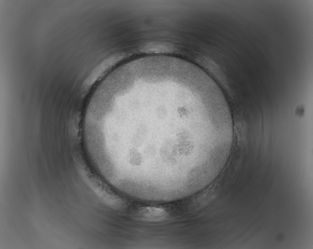 X0000116460159201001061045