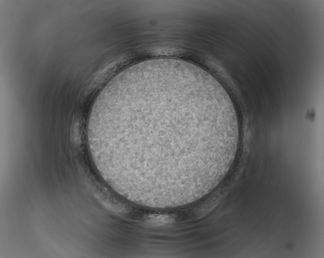 X0000116460161201001061045