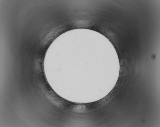 X0000116460162201001061045