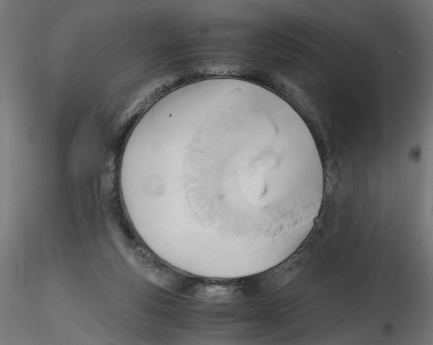 X0000116460163201001061045