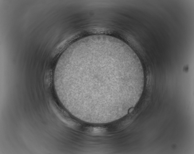 X0000116460165201001061045