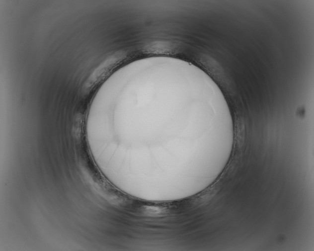 X0000116460167201001061045