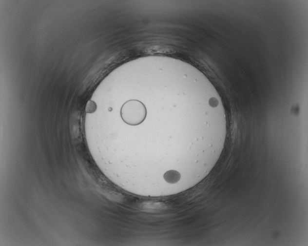X0000116460169201001061046