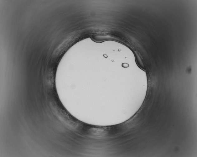 X0000116460170201001061046