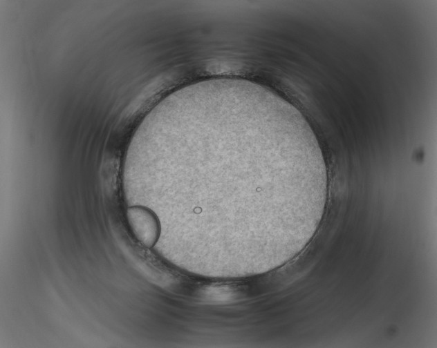 X0000116460171201001061046