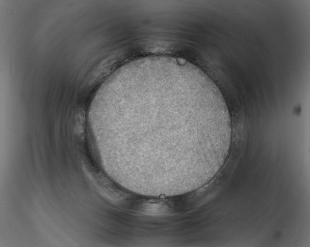 X0000116460175201001061046