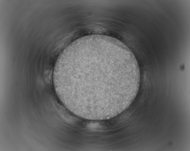 X0000116460177201001061046
