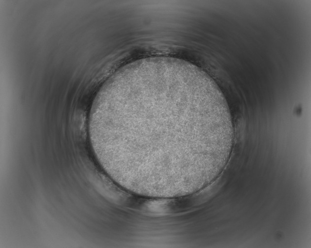 X0000116460178201001061046