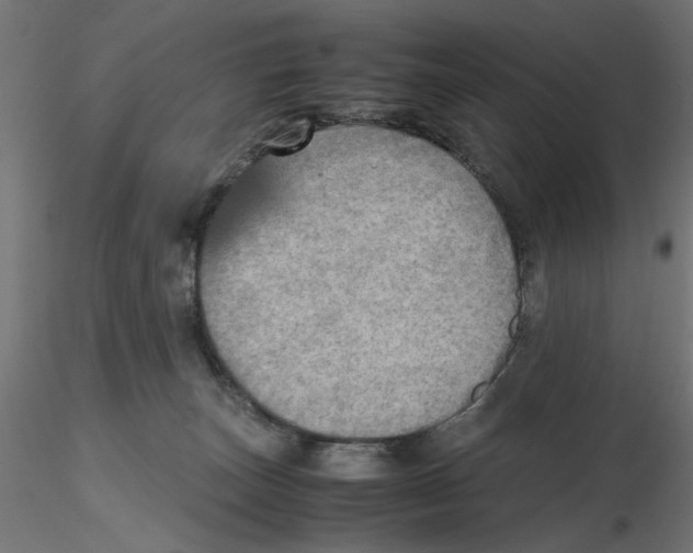 X0000116460179201001061046