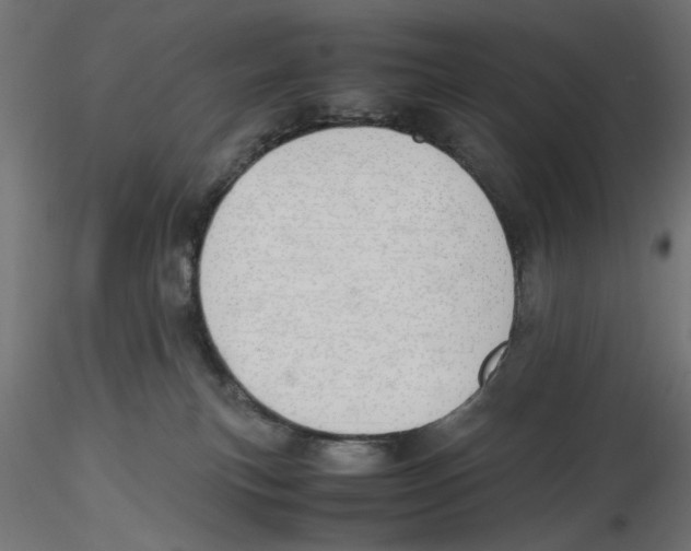X0000116460183201001061046