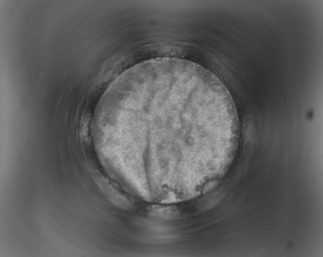 X0000116460185201001061046