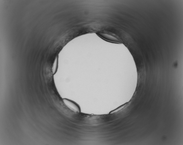 X0000116460186201001061046