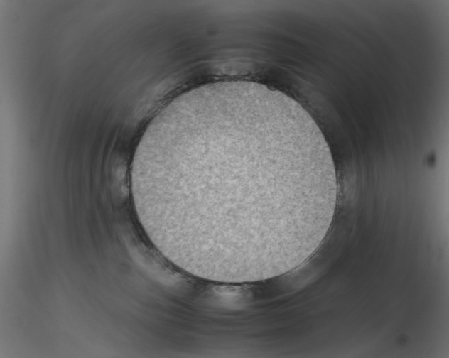 X0000116460187201001061046