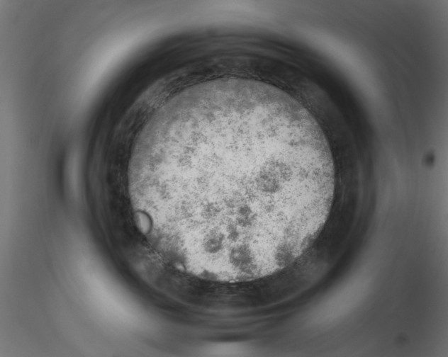 X0000116460189201001061046