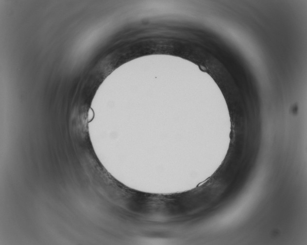 X0000116460190201001061046