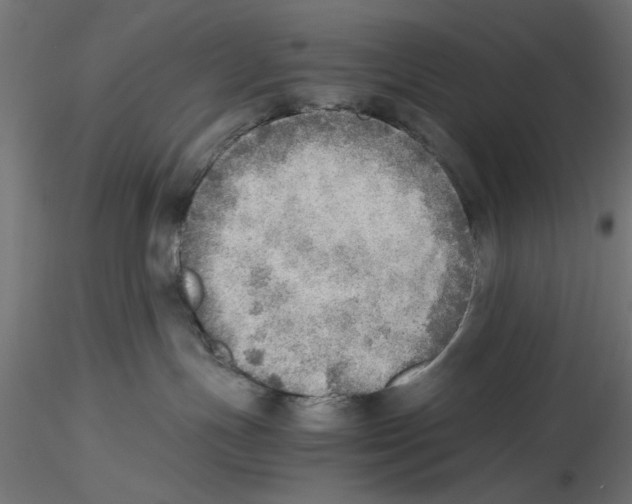 X0000116460191201001061046