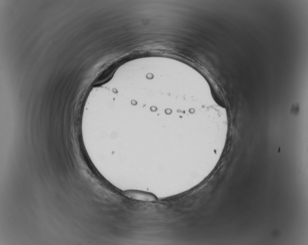 X0000116460193201001061045