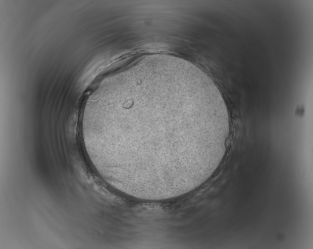 X0000116460194201001061045