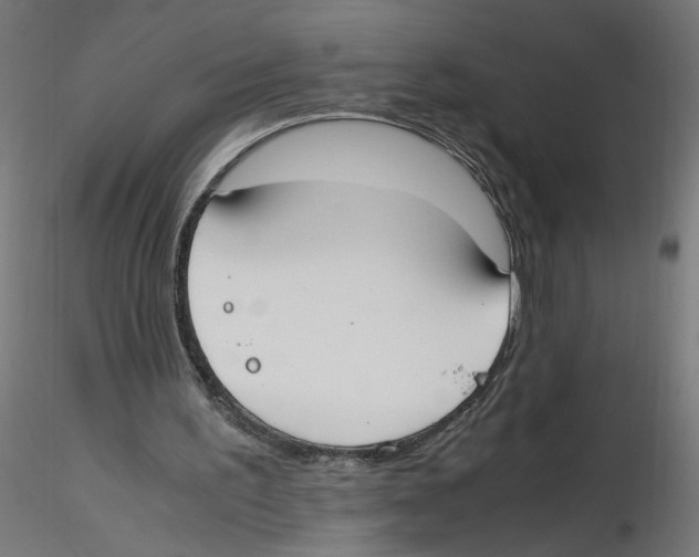 X0000116460195201001061045