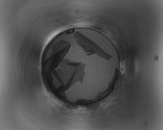 X0000116460196201001061045