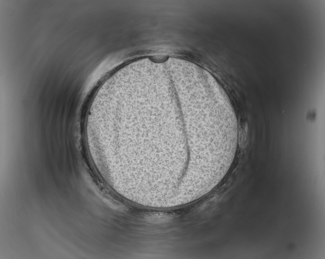 X0000116460198201001061045