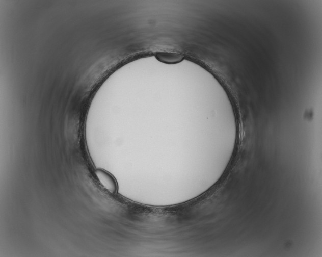 X0000116460201201001061045