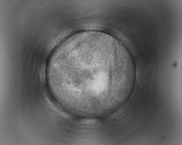 X0000116460202201001061045