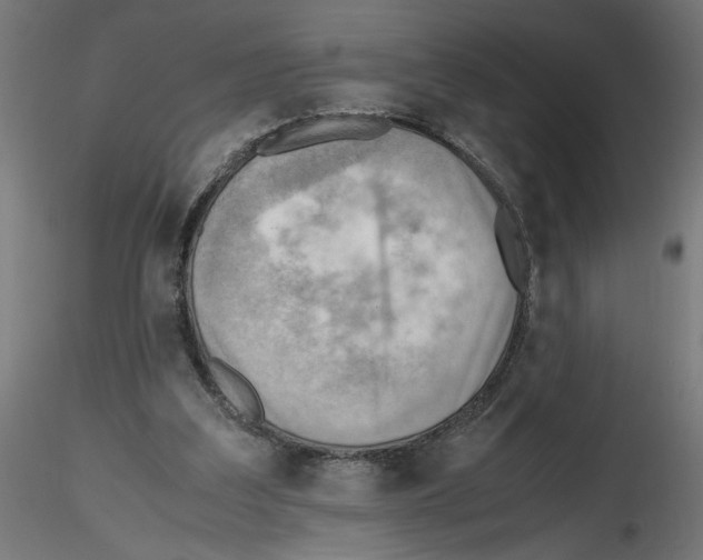 X0000116460203201001061045