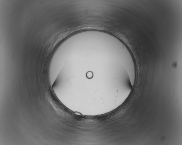 X0000116460205201001061045