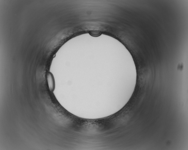 X0000116460207201001061045