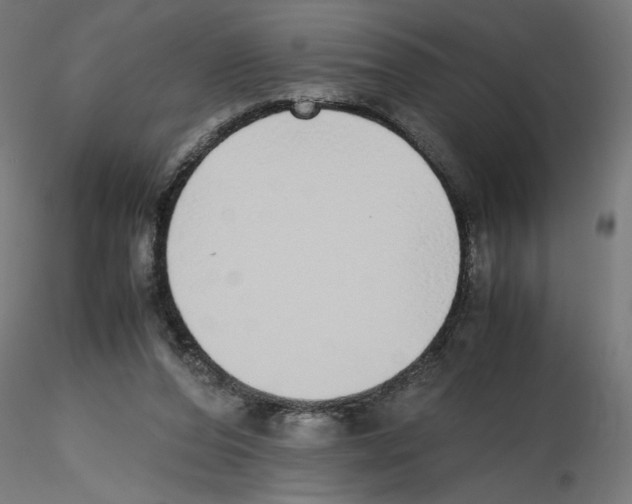 X0000116460208201001061045