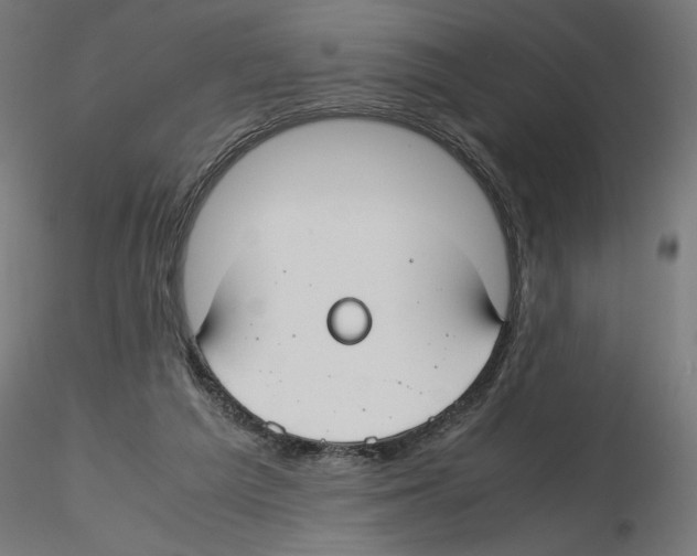 X0000116460209201001061045